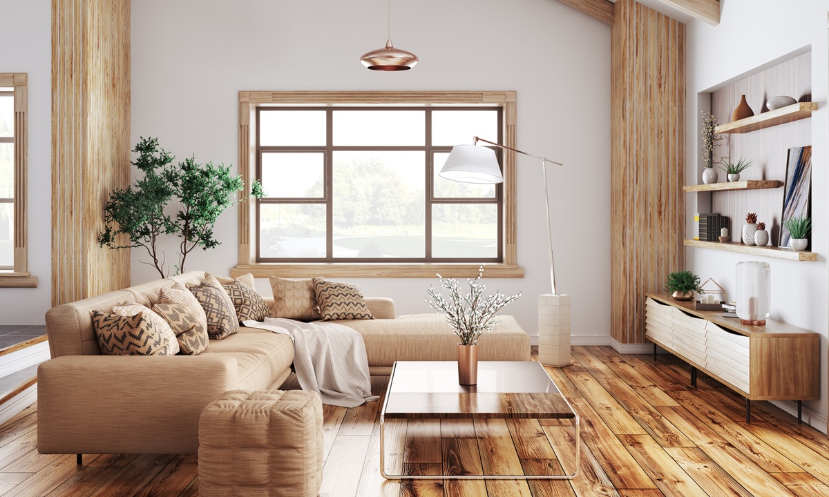 Transforma la energía de tu hogar: elimina lo negativo y atrae paz